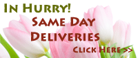Same day delivery to Pakistan
