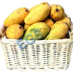 gift Mango Fiesta