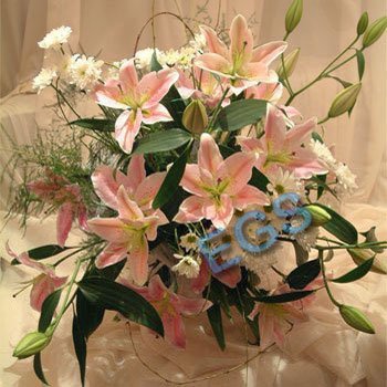 gift Perfect Pink
