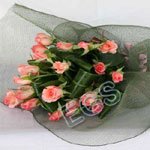 gift Pink Roses