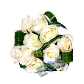 gift White Roses